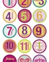 Belly Banter GIRL Onesie Stickers Includes 12 month stickers plus 3 BONUS statement stickers