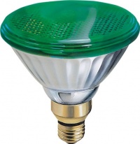 GE 13474 85-Watt Outdoor PAR38 Incandescent Light Bulb, Green GE 13474 85-Watt Outdoor PAR38 Incandescent Light Bulb, Green