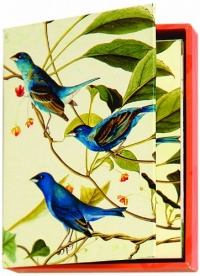 Metropolitan Museum of Art Boxed Note Cards, Audubon Birds (MN211) Metropolitan Museum of Art Boxed Note Cards, Audubon Birds (MN211)