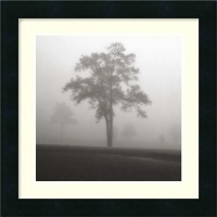 Fog Tree Study I Framed Wall Art by Jamie Cook - 16W x 16H in. Fog Tree Study I Framed Wall Art by Jamie Cook - 16W x 16H in.