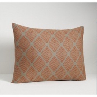 Calvin Klein Home Atlas Rust Studio Collection EURO Pillow Sham