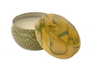 Paddywax Winter Garden Travel Tin Pear Scented Candle, 6.5-Ounce Paddywax Winter Garden Travel Tin Pear Scented Candle, 6.5-Ounce