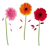 ROOMMATES RMK1553SCS Small Gerber Daisies Peel & Stick Wall Decals ROOMMATES RMK1553SCS Small Gerber Daisies Peel & Stick Wall Decals