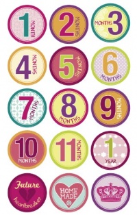 Belly Banter GIRL Onesie Stickers Includes 12 month stickers plus 3 BONUS statement stickers Belly Banter GIRL Onesie Stickers Includes 12 month stickers plus 3 BONUS statement stickers