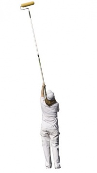 Wooster Brush R091 Sherlock GT Convertible Extension Pole, 4-8 feet Wooster Brush R091 Sherlock GT Convertible Extension Pole, 4-8 feet