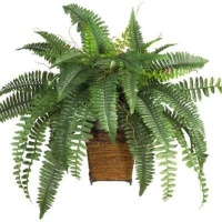 Nearly Natural 6549 Boston Fern with Wicker Decorative Silk Plant, Green Nearly Natural 6549 Boston Fern with Wicker Decorative Silk Plant, Green