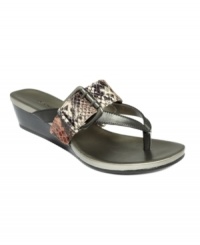 A big buckle makes this cute sandal even better. Bandolino's Buckley wedge thong sandals add style and just the right amount of height. A big buckle makes this cute sandal even better. Bandolino's Buckley wedge thong sandals add style and just the right amount of height.