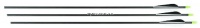 Allen Company 30-Inch Adult Carbon Arrows (3 Pack) Allen Company 30-Inch Adult Carbon Arrows (3 Pack)