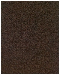 Donny Osmond Home Silky Shag Rug, Coffee Bean, 4x6 Feet Donny Osmond Home Silky Shag Rug, Coffee Bean, 4x6 Feet