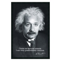 Einstein Curiosity Framed Wall Art - 25.41W x 37.41H in. Einstein Curiosity Framed Wall Art - 25.41W x 37.41H in.