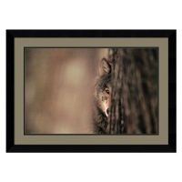 Gray Wolf by Jim Brandenburg, Framed Print Art - 24.87 x 34.37 Gray Wolf by Jim Brandenburg, Framed Print Art - 24.87 x 34.37