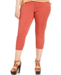 Be totally on-trend with American Rag's plus size jeggings, finished by an orange wash-- they're must-haves! Be totally on-trend with American Rag's plus size jeggings, finished by an orange wash-- they're must-haves!