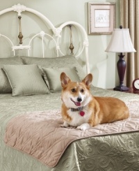Best friends are now welcome on the bed with the Pet Bed Protector from Sure Fit. Featuring a luxurious, suede-like finish that protects your bed from paws and claws. Best friends are now welcome on the bed with the Pet Bed Protector from Sure Fit. Featuring a luxurious, suede-like finish that protects your bed from paws and claws.