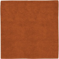 Area Rug 8x8 Square Shag Rust Color - Surya Aros Rug from RugPal Area Rug 8x8 Square Shag Rust Color - Surya Aros Rug from RugPal