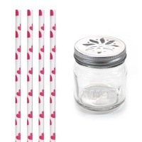 Dress My Cupcake DMC31362 Vintage Glass Drinking Mason Jar Sippers with Flower Lid and Paper Straws Party Kit, Valentines Red Heart, Set of 12 Dress My Cupcake DMC31362 Vintage Glass Drinking Mason Jar Sippers with Flower Lid and Paper Straws Party Kit, Valentines Red Heart, Set of 12