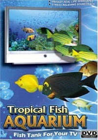 Tropical Fish Aquarium Tropical Fish Aquarium