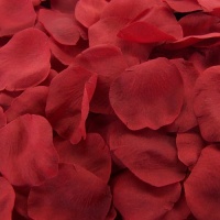 Red Silk Rose Petals ~ 200 Petals Red Silk Rose Petals ~ 200 Petals