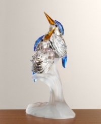 Colorful and majestic, these crystal Malachite Kingfishers perch upon a frosted tree awaiting their next fishing expedition. Accented with orange beaks, blue head and tail feathers and small blue dots on their backs. A wonderful addition to any collection. Measures 4h x 2 1/8w x 1 3/4d. Colorful and majestic, these crystal Malachite Kingfishers perch upon a frosted tree awaiting their next fishing expedition. Accented with orange beaks, blue head and tail feathers and small blue dots on their backs. A wonderful addition to any collection. Measures 4h x 2 1/8w x 1 3/4d.