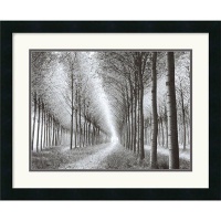 Tree Parade (c. 2003) by Chip Forelli Framed Fine Art Print - 18 x 22 Tree Parade (c. 2003) by Chip Forelli Framed Fine Art Print - 18 x 22