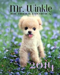 MR WINKLE: The Nudes, Volume IV, 2014 Wall Calendar MR WINKLE: The Nudes, Volume IV, 2014 Wall Calendar
