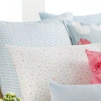 Style&co Plumeria 300T 2 Standard Quilted Sham Sky Blue Style&co Plumeria 300T 2 Standard Quilted Sham Sky Blue