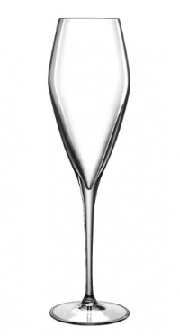 Luigi Bormioli Atelier Champagne Glass, 9-1/2-Ounce, Set of 6