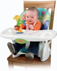 Fisher-Price Disney Baby Lion King Circle of Friends Spinner Fisher-Price Disney Baby Lion King Circle of Friends Spinner