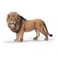 Lion Lion