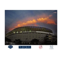MLB New York Yankees Old Yankee Stadium Fa?ade Mural Wall Graphic MLB New York Yankees Old Yankee Stadium Fa?ade Mural Wall Graphic