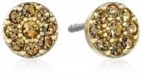 Fossil Disc Gold Stud Earrings Fossil Disc Gold Stud Earrings