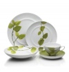 Mikasa Daylight 5-Piece Dinnerware Set, Green