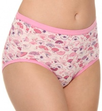 Hanes Women's 3 Pack Comfortsoft Cotton Stretch Low Rise Brief Panty Hanes Women's 3 Pack Comfortsoft Cotton Stretch Low Rise Brief Panty